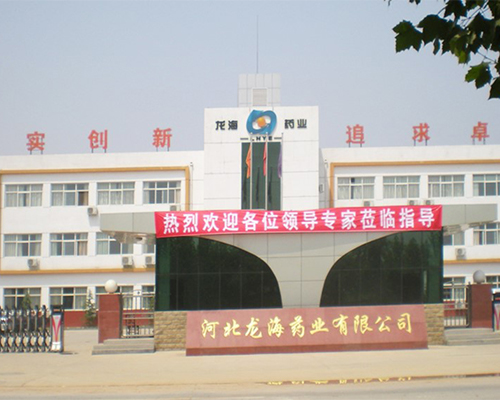 河北龍海藥業(yè)醫(yī)藥產(chǎn)業(yè)園項(xiàng)目機(jī)電工程總包